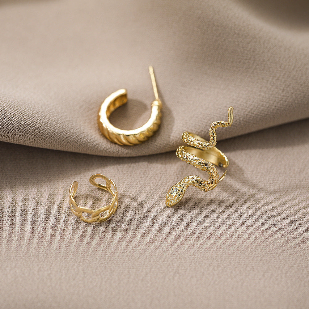 Retro Snake Suit Stud Earrings Three-piece Set Earrings